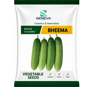 Bheema