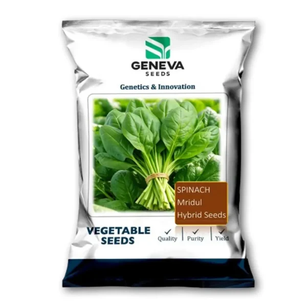 Mrudul Mridul – JP Agro Innovations