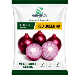Red Queen-40