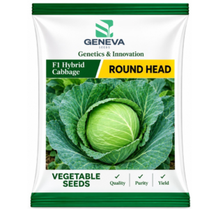 Round Head