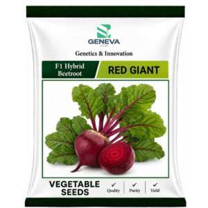 Red Giant