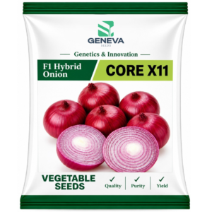 CORE X11