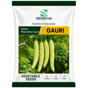 Gauri