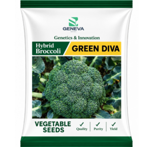 Broccoli