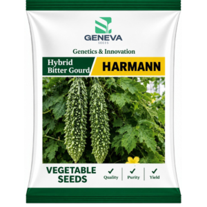 Harmann