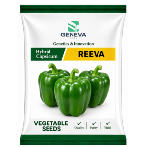 Reeva