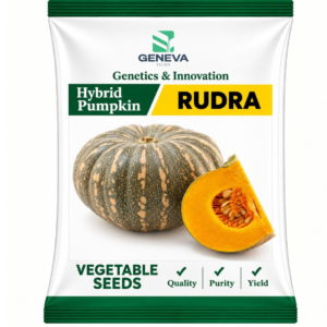 Rudra