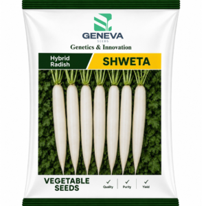 Shweta